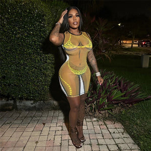 Give Me Body Mini Dress