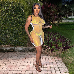 Give Me Body Mini Dress